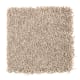 Smart Color in Rum Cake - Carpet by Mohawk Flooring