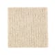 Rustic Luxury in Sand Dollar - Carpet by Mohawk Flooring