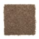 New Chapter II in Saddle - Carpet by Mohawk Flooring