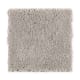 Solo in Brushed Nickel - Carpet by Mohawk Flooring