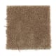 Solo in Terrain - Carpet by Mohawk Flooring