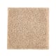 Nature's Appeal I in Maple Tint - Carpet by Mohawk Flooring
