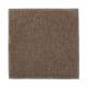 Organic Beauty II in Nutmeg - Carpet by Mohawk Flooring