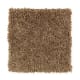 Bright Future in Cedar Shingle - Carpet by Mohawk Flooring