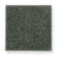 Pure Satisfaction in Rolling Hills - Carpet by Mohawk Flooring