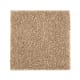 Native Allure I in Brushed Suede - Carpet by Mohawk Flooring