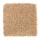 Smart Color in Muslin - Carpet by Mohawk Flooring