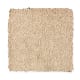 Comfortable Creation II in Coastal - Carpet by Mohawk Flooring