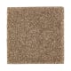 Nature's Appeal II in Rich Earth - Carpet by Mohawk Flooring