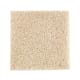 Nature's Appeal I in Shoreline - Carpet by Mohawk Flooring