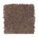 Global Allure I in Hazelnut - Carpet by Mohawk Flooring