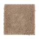 Solo in Country Path - Carpet by Mohawk Flooring