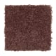 Trimaran in Dark Passion Fruit - Carpet by Mohawk Flooring
