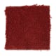 Seaboard in Cherry Pie - Carpet by Mohawk Flooring