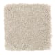 Brilliant Influence in Birch Bark - Carpet by Mohawk Flooring