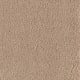 Atlantic Coast in Rustic Villa - Carpet by Mohawk Flooring