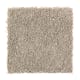 Tempting Example in Safari Tan - Carpet by Mohawk Flooring