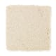 Beautiful Desire II in Fleece - Carpet by Mohawk Flooring
