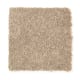 Stylish Story II in Native Soil - Carpet by Mohawk Flooring