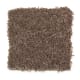 American Splendor I in Carob - Carpet by Mohawk Flooring