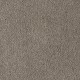 Soft Eloquence in Urban - Carpet by Mohawk Flooring