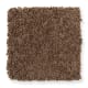 Skillful Intent in Ginger Jar - Carpet by Mohawk Flooring
