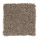 Easy Option in Weathered Wood - Carpet by Mohawk Flooring