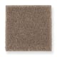 Pleasant Nature in Hazy Taupe - Carpet by Mohawk Flooring