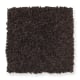 Chic Appearance in Hot Fudge - Carpet by Mohawk Flooring