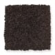 Chic Appearance in Hot Fudge - Carpet by Mohawk Flooring