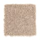 Intelligent Style in Cobweb - Carpet by Mohawk Flooring
