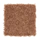 Posh Origins in Sweet Potato - Carpet by Mohawk Flooring