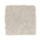 Eternal Allure I in Cashmere - Carpet by Mohawk Flooring