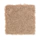 American Legacy in Praline - Carpet by Mohawk Flooring