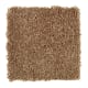Serene Touch in Pottery - Carpet by Mohawk Flooring