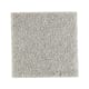 Native Allure I in Breezeway - Carpet by Mohawk Flooring
