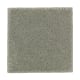 Organic Beauty I in Garden Club - Carpet by Mohawk Flooring