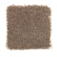 Brookfield Heights in Milk Shake - Carpet by Mohawk Flooring