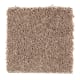 Playful Nature in Pamphlet - Carpet by Mohawk Flooring