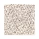 Key Elements in Gulf Sands - Carpet by Mohawk Flooring