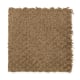 Unification in Cedar - Carpet by Mohawk Flooring
