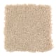 Brilliant Influence in Whole Grain - Carpet by Mohawk Flooring