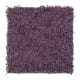 Playful Nature in Purple Parade - Carpet by Mohawk Flooring