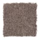 Brilliant Influence in Thoroughbred - Carpet by Mohawk Flooring