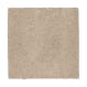 Nature's Appeal I in Morning Mist - Carpet by Mohawk Flooring