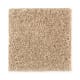 Intelligent Style in Raffia - Carpet by Mohawk Flooring