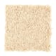 Playful Nature in Tortilla - Carpet by Mohawk Flooring