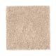 Eternal Allure I in Soft Suede - Carpet by Mohawk Flooring
