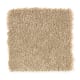 Grande Vision in Teacake - Carpet by Mohawk Flooring