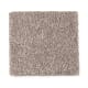 Creative Showcase I in Driftwood - Carpet by Mohawk Flooring